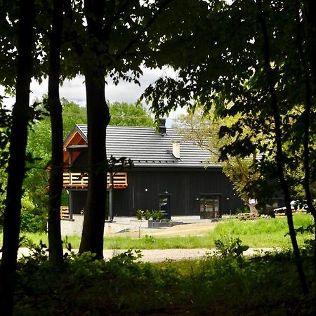Witoszyn28 Panzió Kazimierz Dolny Kültér fotó